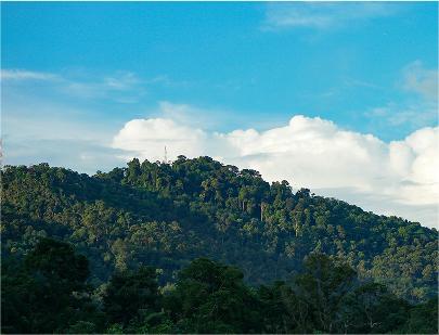 Penang Hill View