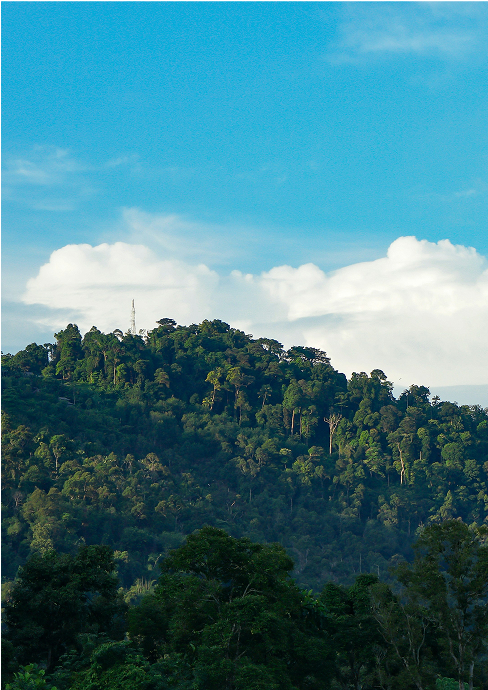 Penang Hill View