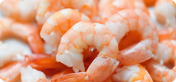 Shrimp